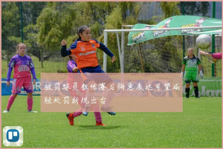 被罚球员教练赛后悔意表达可望减轻处罚新规出台