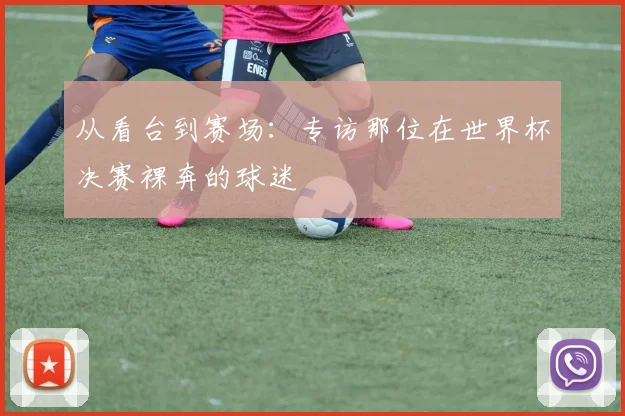 从看台到赛场：专访那位在世界杯决赛裸奔的球迷